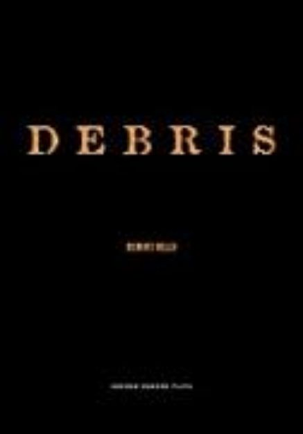 Bild von Debris (eBook)