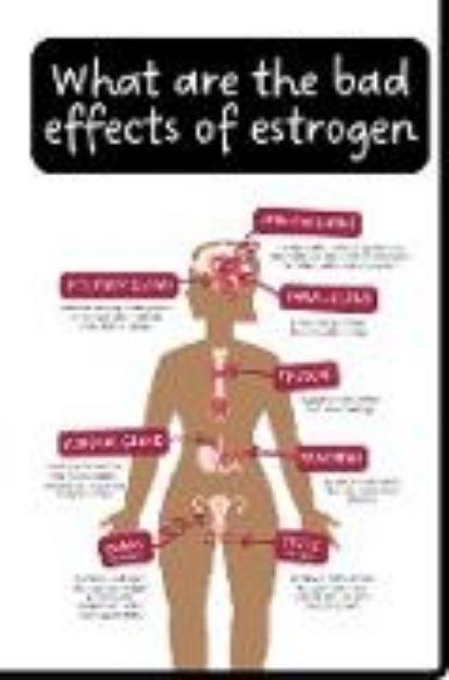 Bild von What are the Bad Effects of Estrogen (eBook)