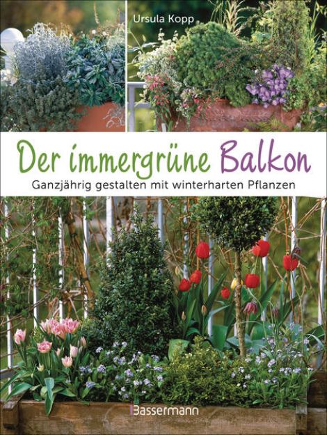 Bild von Der immergrüne Balkon. Ganzjährig gestalten mit winterharten Pflanzen (eBook)