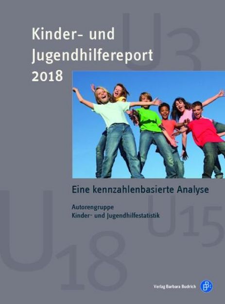 Bild von Kinder- und Jugendhilfereport 2018 (eBook)