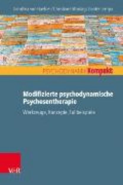 Bild von Modifizierte psychodynamische Psychosentherapie (eBook)