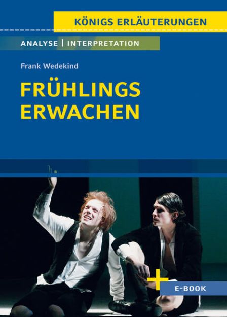 Bild von Frühlings Erwachen von Frank Wedekind - Textanalyse und Interpretation (eBook)