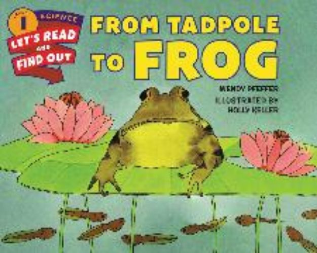 Bild von From Tadpole to Frog von Wendy Pfeffer