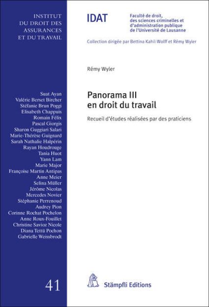 Bild von Panorama III en droit du travail (eBook)