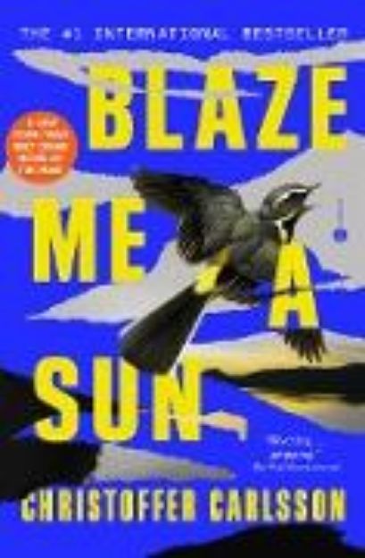 Bild von Blaze Me a Sun (eBook)