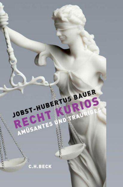 Bild von Recht Kurios von Jobst-Hubertus Bauer