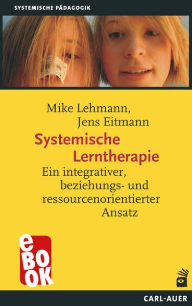 Bild von Systemische Lerntherapie (eBook)