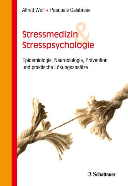 Bild von Stressmedizin und Stresspsychologie (eBook)